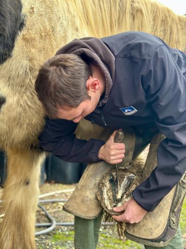 Parage cheval Manche